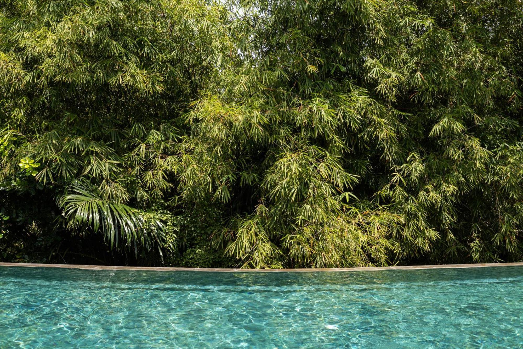 Theanna Villa And Spa Canggu Екстериор снимка